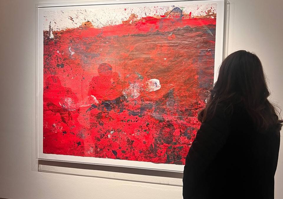 Nuova Linpha | Visite in Mostra